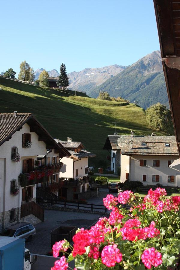 Chalet Stelvio Бормио Екстериор снимка